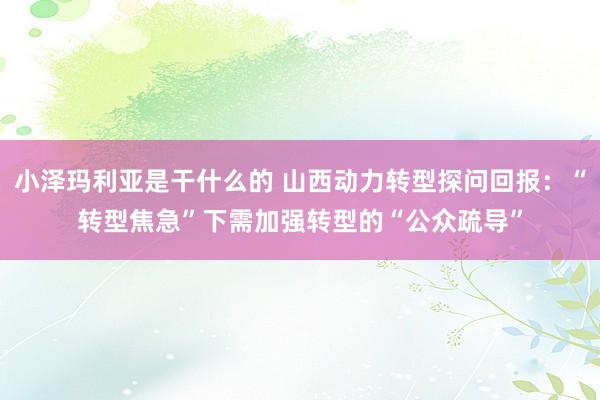 小泽玛利亚是干什么的 山西动力转型探问回报：“转型焦急”下需加强转型的“公众疏导”
