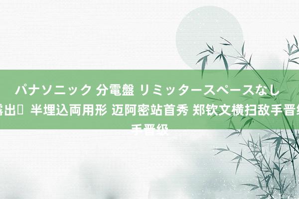 パナソニック 分電盤 リミッタースペースなし 露出・半埋込両用形 迈阿密站首秀 郑钦文横扫敌手晋级