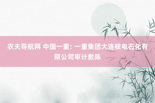 农夫导航网 中国一重: 一重集团大连核电石化有限公司审计敷陈