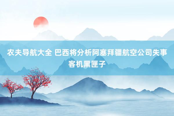 农夫导航大全 巴西将分析阿塞拜疆航空公司失事客机黑匣子