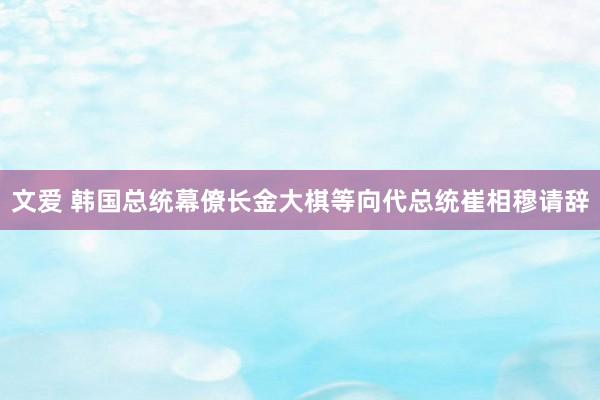 文爱 韩国总统幕僚长金大棋等向代总统崔相穆请辞