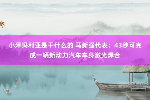 小泽玛利亚是干什么的 马新强代表：43秒可完成一辆新动力汽车车身激光焊合