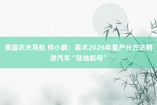 美国农夫导航 何小鹏：霸术2026年量产分方法翱游汽车“陆地航母”