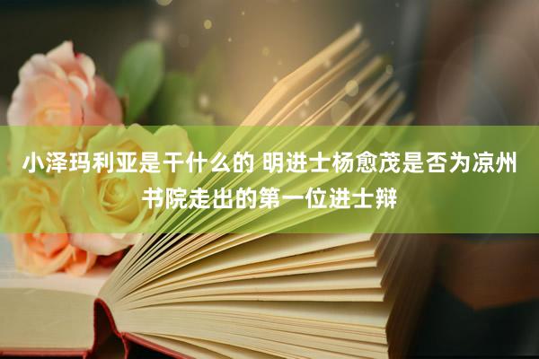 小泽玛利亚是干什么的 明进士杨愈茂是否为凉州书院走出的第一位进士辩