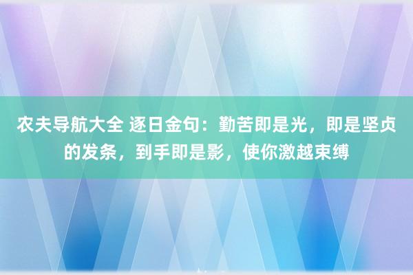 农夫导航大全 逐日金句：勤苦即是光，即是坚贞的发条，到手即是影，使你激越束缚