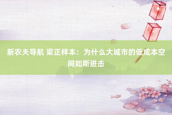 新农夫导航 梁正样本：为什么大城市的低成本空间如斯进击