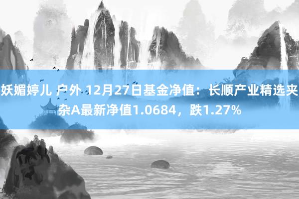 妖媚婷儿 户外 12月27日基金净值：长顺产业精选夹杂A最新净值1.0684，跌1.27%