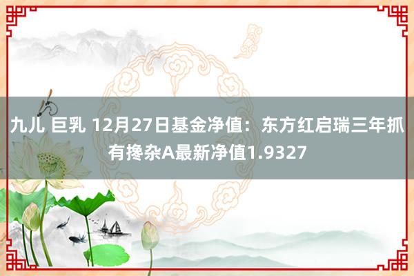 九儿 巨乳 12月27日基金净值：东方红启瑞三年抓有搀杂A最新净值1.9327