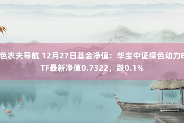 色农夫导航 12月27日基金净值：华宝中证绿色动力ETF最新净值0.7322，跌0.1%