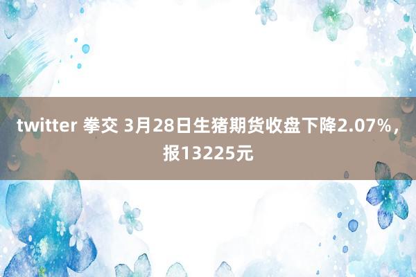 twitter 拳交 3月28日生猪期货收盘下降2.07%，报13225元