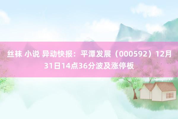 丝袜 小说 异动快报：平潭发展（000592）12月31日14点36分波及涨停板