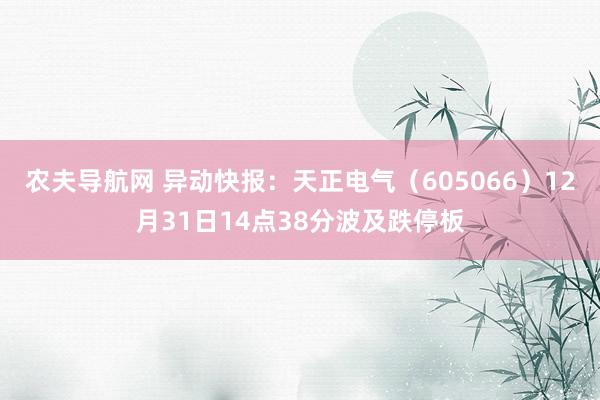 农夫导航网 异动快报：天正电气（605066）12月31日14点38分波及跌停板
