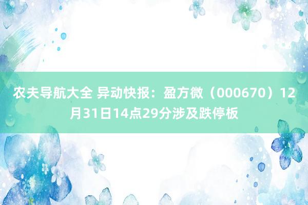 农夫导航大全 异动快报：盈方微（000670）12月31日14点29分涉及跌停板