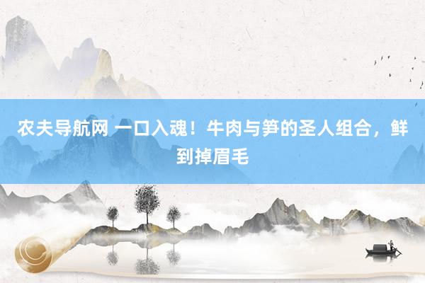 农夫导航网 一口入魂！牛肉与笋的圣人组合，鲜到掉眉毛