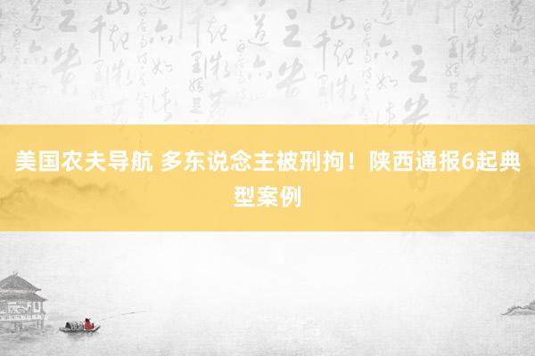 美国农夫导航 多东说念主被刑拘！陕西通报6起典型案例