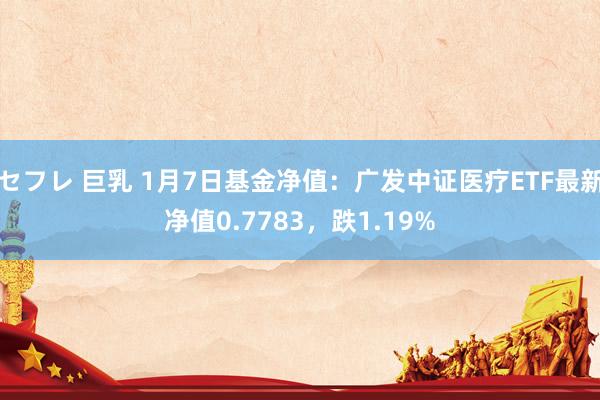 セフレ 巨乳 1月7日基金净值：广发中证医疗ETF最新净值0.7783，跌1.19%