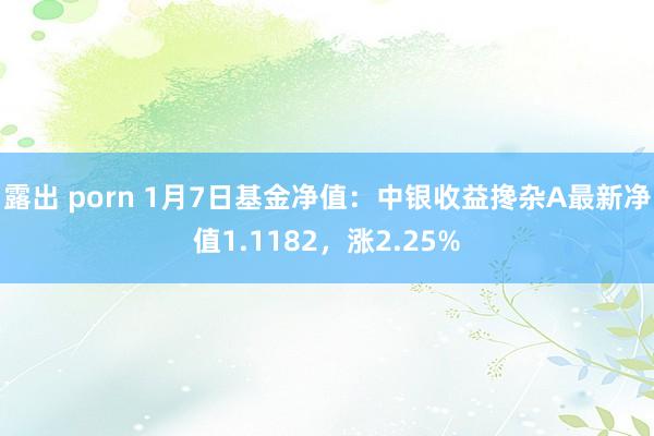 露出 porn 1月7日基金净值：中银收益搀杂A最新净值1.1182，涨2.25%