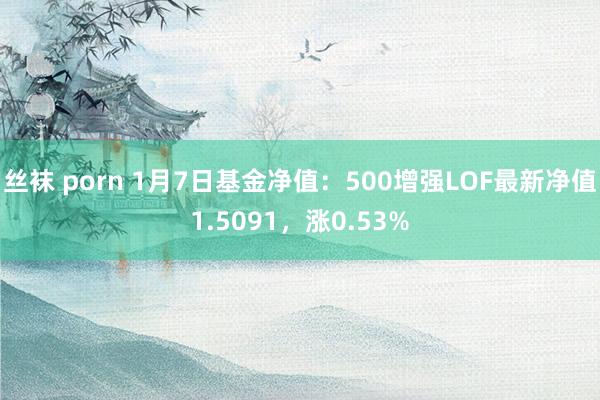 丝袜 porn 1月7日基金净值：500增强LOF最新净值1.5091，涨0.53%