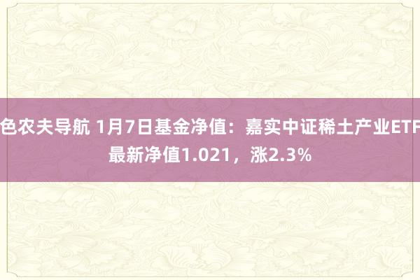 色农夫导航 1月7日基金净值：嘉实中证稀土产业ETF最新净值1.021，涨2.3%