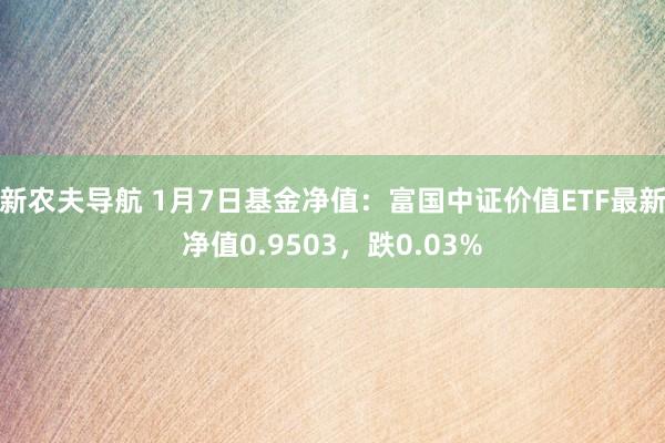 新农夫导航 1月7日基金净值：富国中证价值ETF最新净值0.9503，跌0.03%
