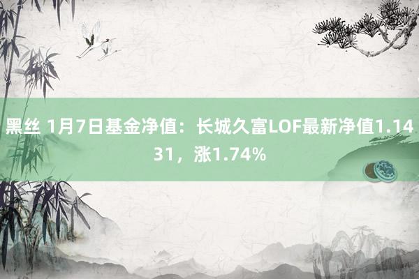 黑丝 1月7日基金净值：长城久富LOF最新净值1.1431，涨1.74%
