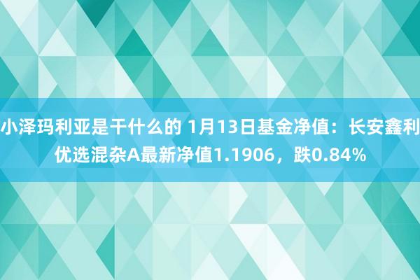小泽玛利亚是干什么的 1月13日基金净值：长安鑫利优选混杂A最新净值1.1906，跌0.84%
