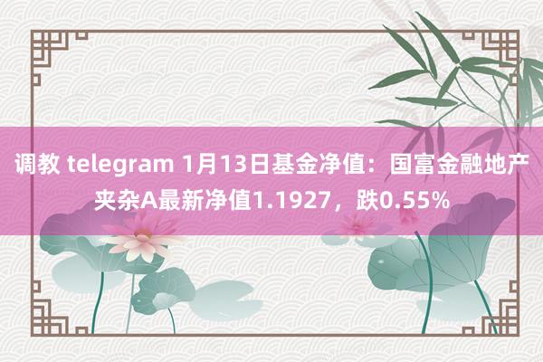 调教 telegram 1月13日基金净值：国富金融地产夹杂A最新净值1.1927，跌0.55%