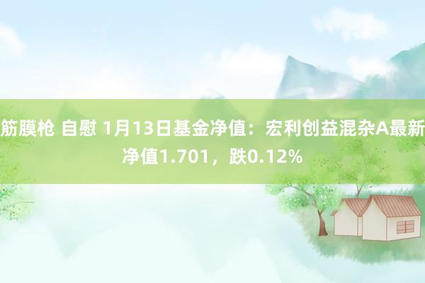 筋膜枪 自慰 1月13日基金净值：宏利创益混杂A最新净值1.701，跌0.12%
