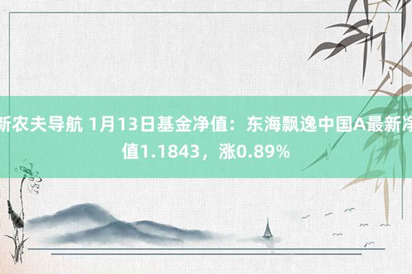 新农夫导航 1月13日基金净值：东海飘逸中国A最新净值1.1843，涨0.89%