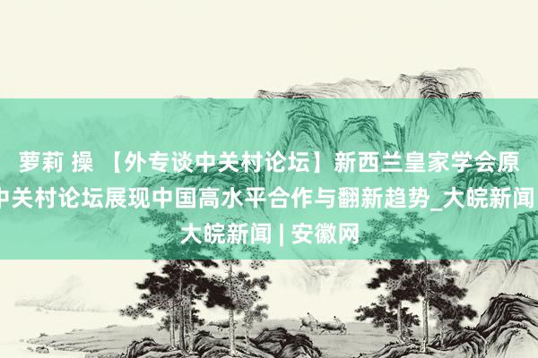 萝莉 操 【外专谈中关村论坛】新西兰皇家学会原主席：中关村论坛展现中国高水平合作与翻新趋势_大皖新闻 | 安徽网