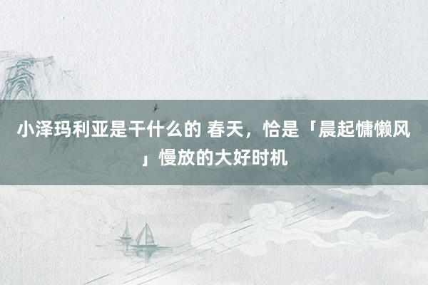 小泽玛利亚是干什么的 春天，恰是「晨起慵懒风」慢放的大好时机
