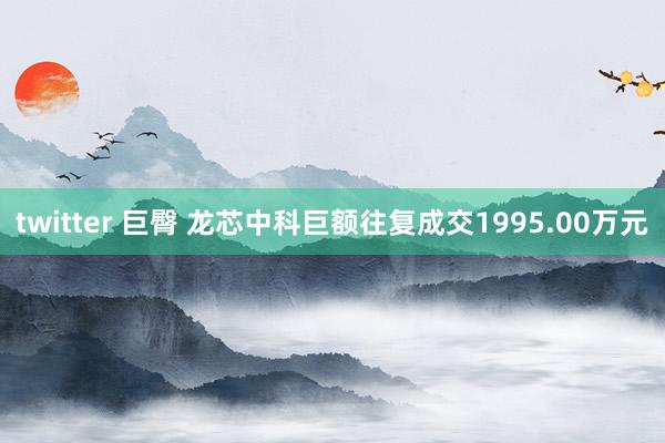 twitter 巨臀 龙芯中科巨额往复成交1995.00万元