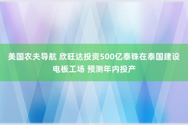 美国农夫导航 欣旺达投资500亿泰铢在泰国建设电板工场 预测年内投产