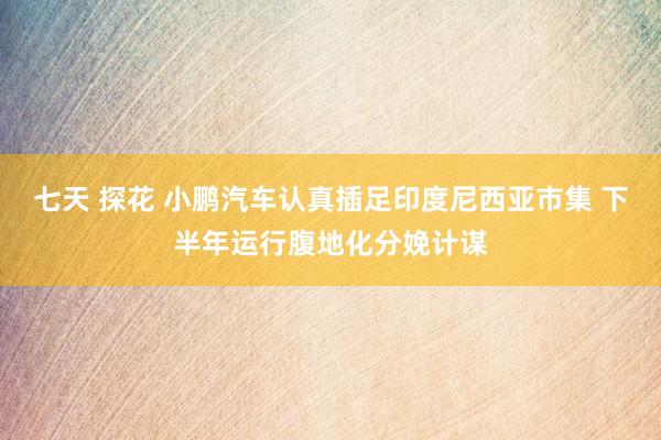 七天 探花 小鹏汽车认真插足印度尼西亚市集 下半年运行腹地化分娩计谋