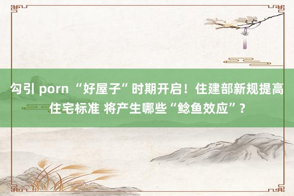 勾引 porn “好屋子”时期开启！住建部新规提高住宅标准 将产生哪些“鲶鱼效应”？