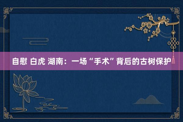 自慰 白虎 湖南：一场“手术”背后的古树保护