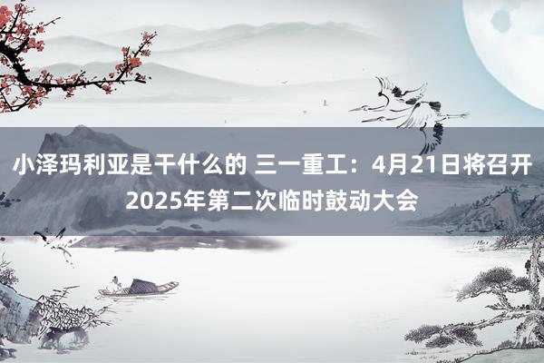 小泽玛利亚是干什么的 三一重工：4月21日将召开2025年第二次临时鼓动大会