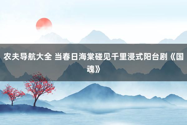 农夫导航大全 当春日海棠碰见千里浸式阳台剧《国魂》