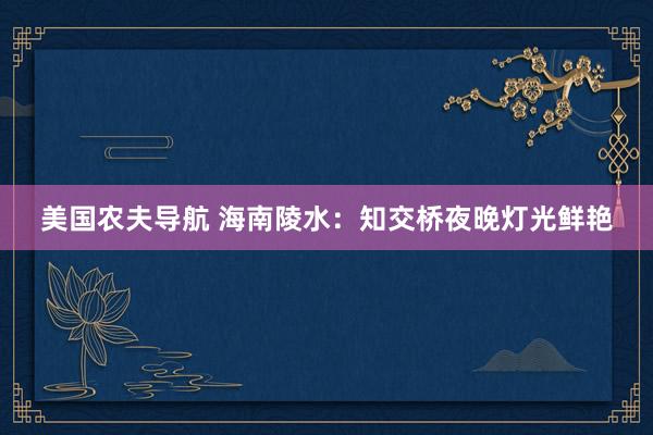 美国农夫导航 海南陵水：知交桥夜晚灯光鲜艳