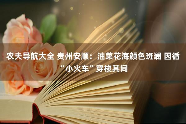 农夫导航大全 贵州安顺：油菜花海颜色斑斓 因循“小火车”穿梭其间