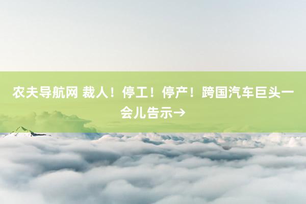 农夫导航网 裁人！停工！停产！跨国汽车巨头一会儿告示→