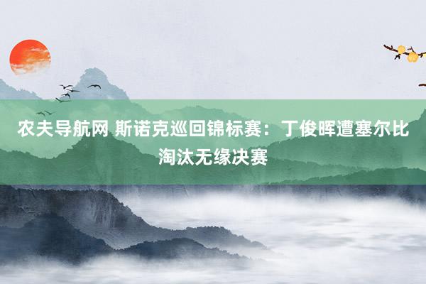 农夫导航网 斯诺克巡回锦标赛：丁俊晖遭塞尔比淘汰无缘决赛