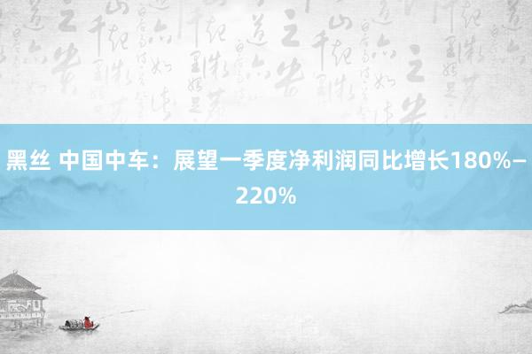黑丝 中国中车：展望一季度净利润同比增长180%—220%