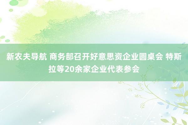 新农夫导航 商务部召开好意思资企业圆桌会 特斯拉等20余家企业代表参会