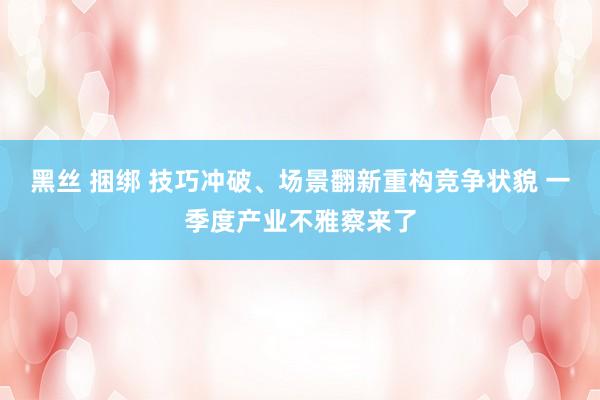 黑丝 捆绑 技巧冲破、场景翻新重构竞争状貌 一季度产业不雅察来了