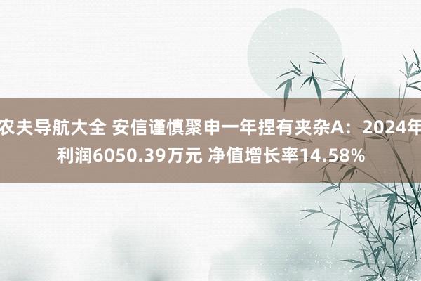 农夫导航大全 安信谨慎聚申一年捏有夹杂A：2024年利润6050.39万元 净值增长率14.58%