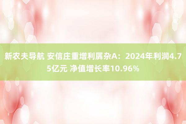 新农夫导航 安信庄重增利羼杂A：2024年利润4.75亿元 净值增长率10.96%