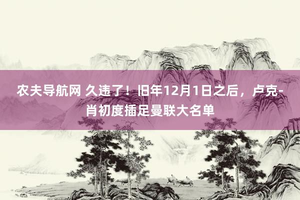 农夫导航网 久违了！旧年12月1日之后，卢克-肖初度插足曼联大名单