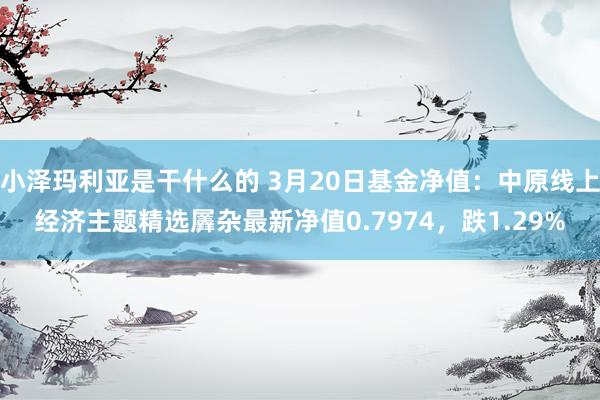 小泽玛利亚是干什么的 3月20日基金净值：中原线上经济主题精选羼杂最新净值0.7974，跌1.29%