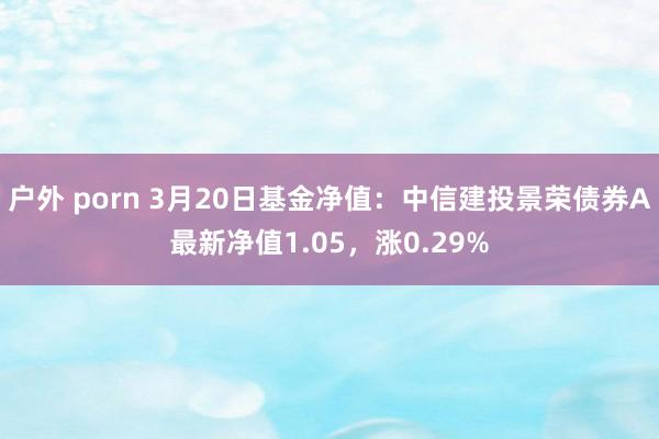 户外 porn 3月20日基金净值：中信建投景荣债券A最新净值1.05，涨0.29%